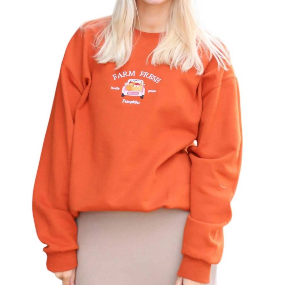 NEW DISTRESSED VINTAGE COUTURE farm fresh pumpkins crewneck sweater in burnt ora